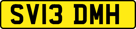 SV13DMH