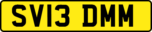 SV13DMM