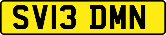 SV13DMN