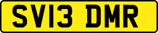 SV13DMR