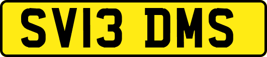 SV13DMS