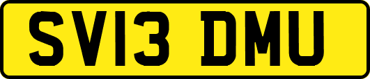 SV13DMU