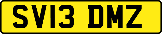 SV13DMZ
