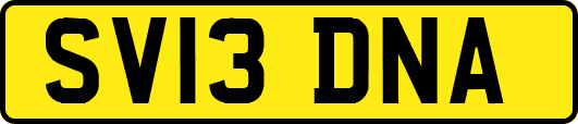 SV13DNA