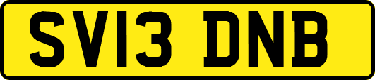SV13DNB