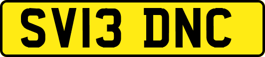 SV13DNC