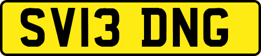 SV13DNG