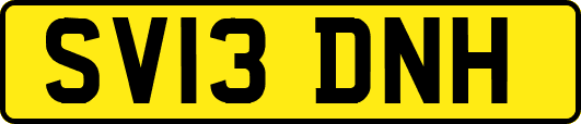 SV13DNH