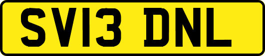 SV13DNL