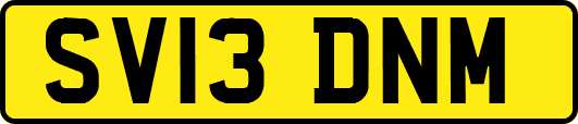 SV13DNM