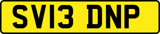 SV13DNP