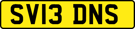 SV13DNS