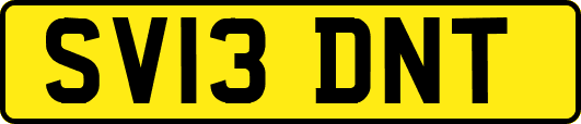 SV13DNT