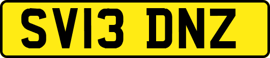 SV13DNZ