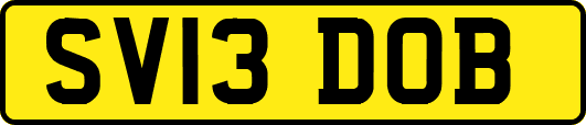 SV13DOB