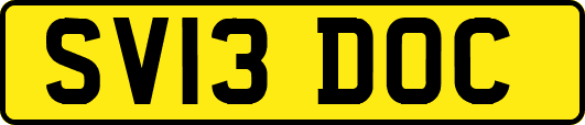 SV13DOC