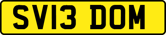 SV13DOM