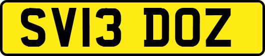SV13DOZ