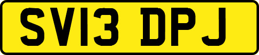 SV13DPJ