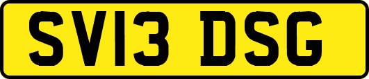 SV13DSG