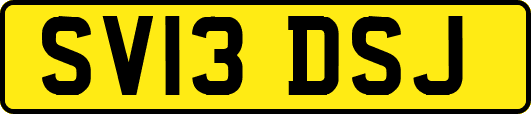 SV13DSJ