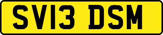 SV13DSM