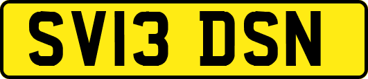 SV13DSN