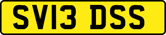 SV13DSS