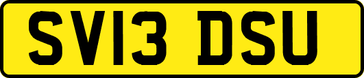 SV13DSU
