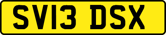 SV13DSX