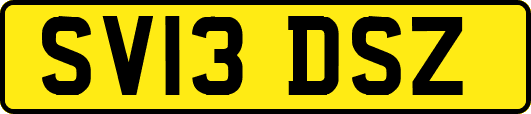SV13DSZ