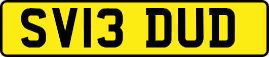 SV13DUD