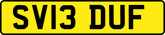 SV13DUF
