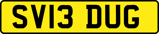 SV13DUG