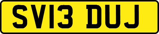 SV13DUJ