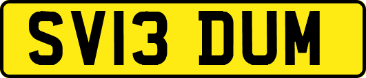SV13DUM