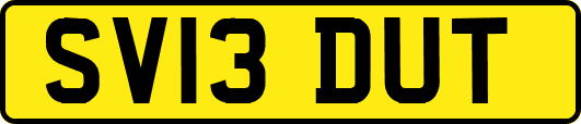 SV13DUT