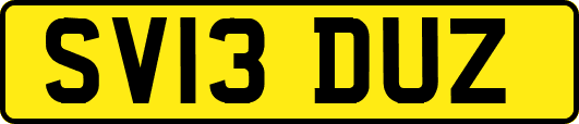 SV13DUZ