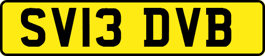 SV13DVB