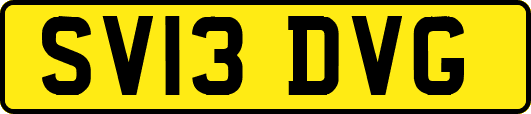SV13DVG