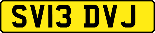 SV13DVJ