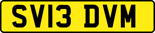 SV13DVM