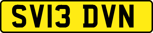 SV13DVN