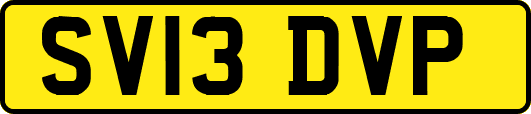 SV13DVP
