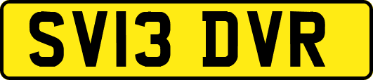 SV13DVR