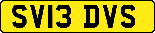 SV13DVS