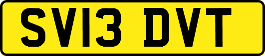 SV13DVT
