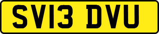 SV13DVU