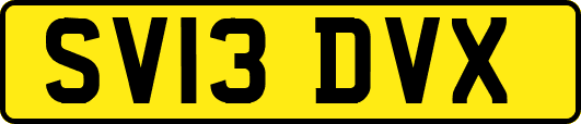 SV13DVX