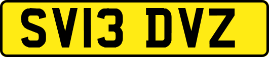 SV13DVZ